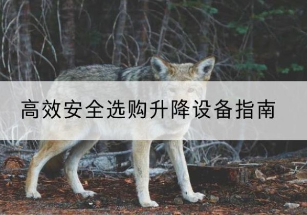 硚口升降货梯厂家推荐-*安全选购升降设备指南