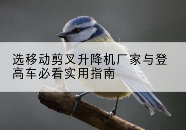 硚口电动升降机厂家-选移动剪叉升降机厂家与登高车必看实用指南
