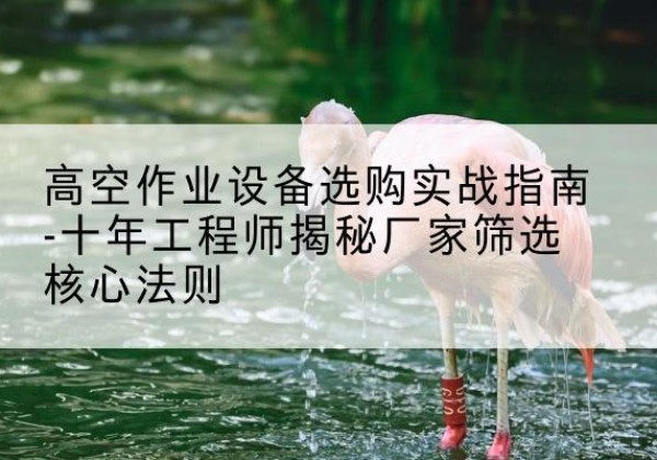 硚口剪叉式升降机厂家-高空作业设备选购实战指南-十年工程师揭秘厂家筛选核心法则